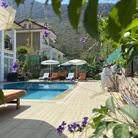 Βίλα Alpine At Hisaroenue Oeluedeniz Ovacik 6+2, 12 People Φετιγιέ