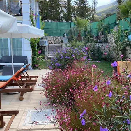 Alpine At Hisarönü ölüdeniz Ovacık 6+2, 12 People