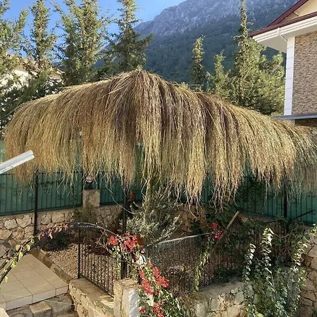 Alpine At Hisarönü ölüdeniz Ovacık 6+2, 12 People * Fethiye