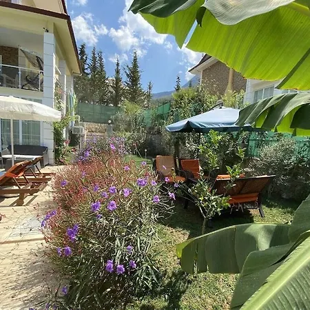 Alpine At Hisarönü ölüdeniz Ovacık 6+2, 12 People *