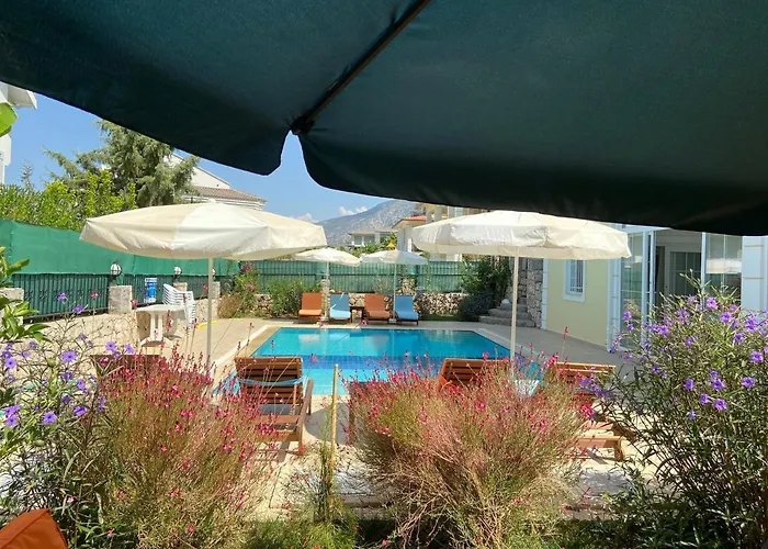 Alpine At Hisaroenue Oeluedeniz Ovacik 6+2, 12 People Villa *