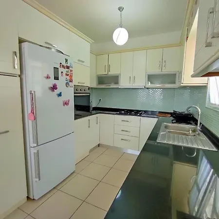 ヴィラ Alpine At Hisaroenue Oeluedeniz Ovacik 6+2, 12 People